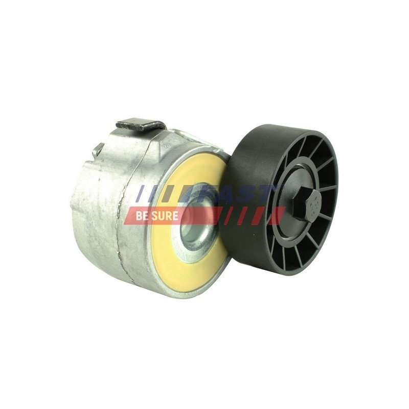 FT44613 Belt Tensioner, V-ribbed belt