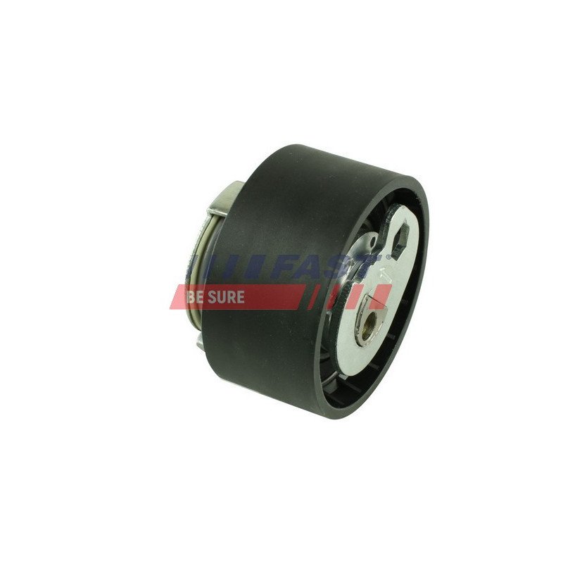 FT44642 Tensioner Pulley, timing belt