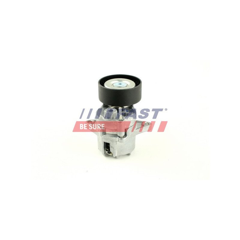 FT44646 Tensioner Pulley, V-ribbed belt