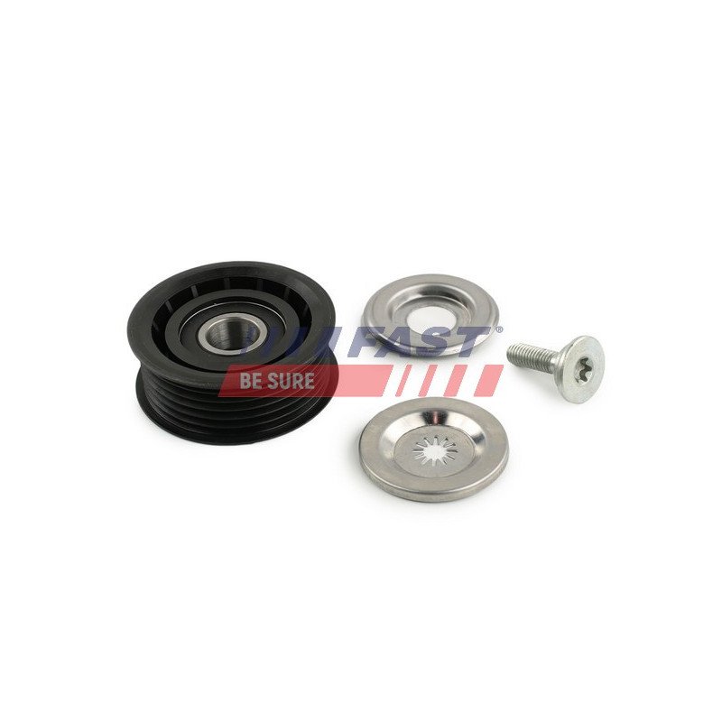 FT44660 Tensioner Pulley, V-ribbed belt