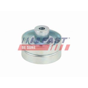 FT44666 Tensioner Pulley, V-ribbed belt