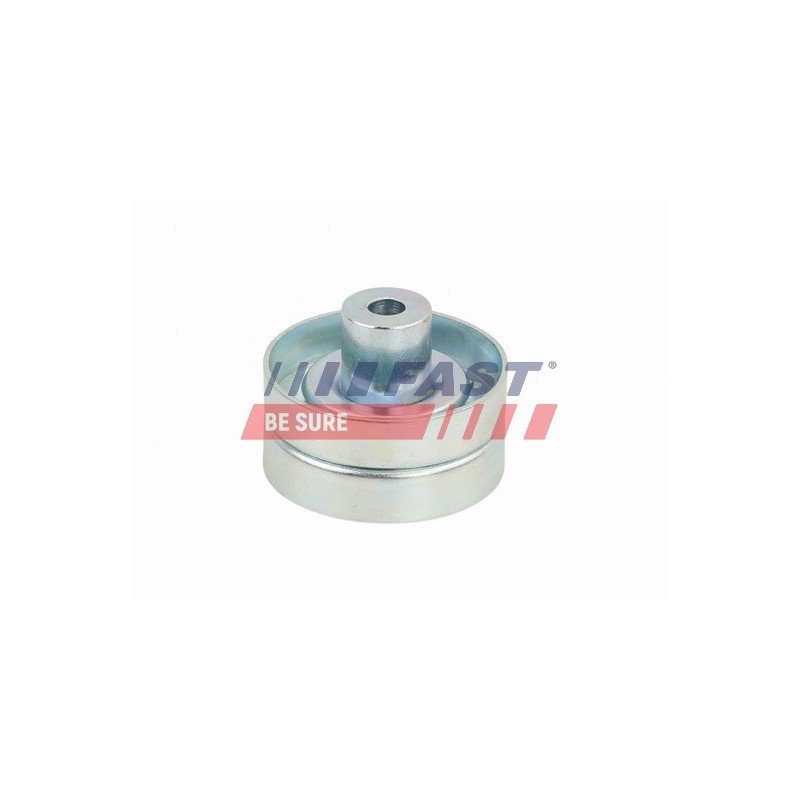 FT44666 Tensioner Pulley, V-ribbed belt