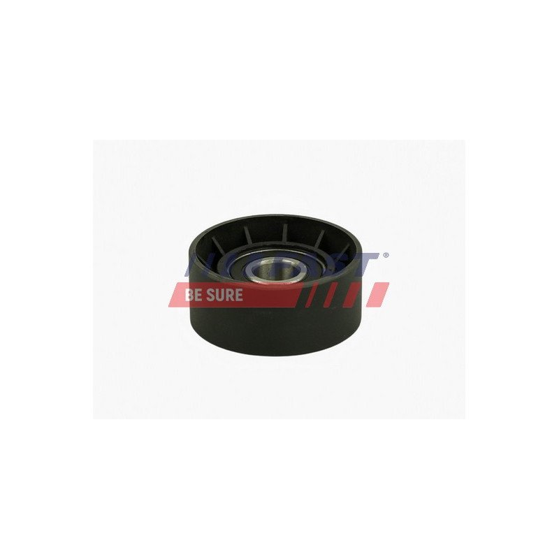 FT44668 Spanrol, Poly V-riem