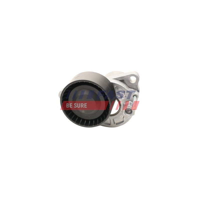 FT44689 Belt Tensioner, V-ribbed belt