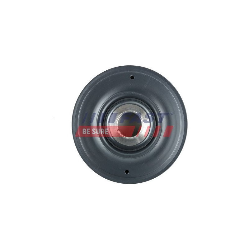 FT45589 Belt Pulley, crankshaft