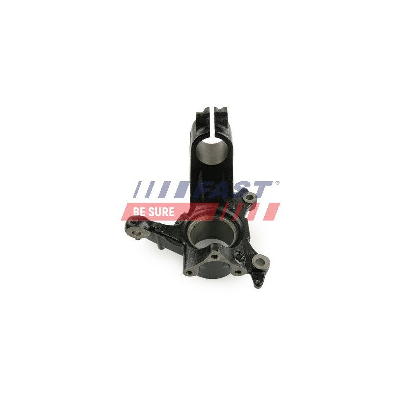 FT13517 Steering Knuckle, wheel suspension